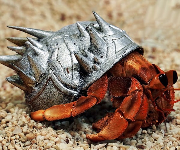 Making a Metal Armor Shell for a Hermit Crab