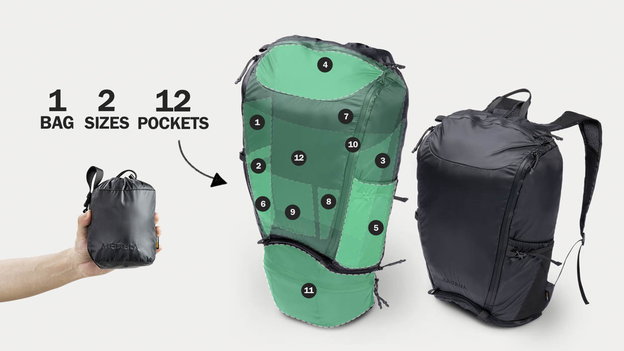AuraOne Collapsible 12-Pocket Backpack