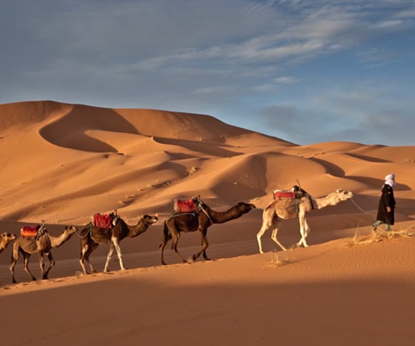 Morocco Arise: A Traveler’s Short Film