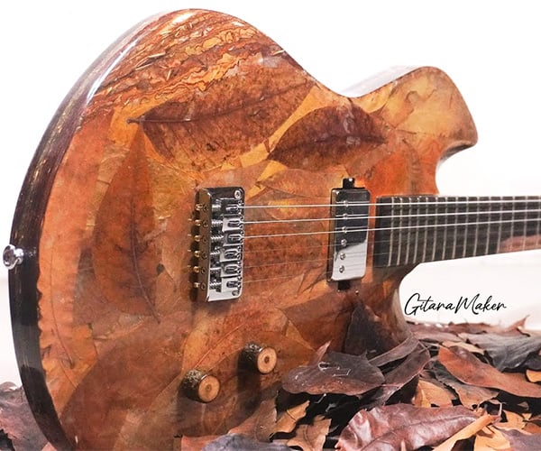Making a Guitar from Fallen Leaves