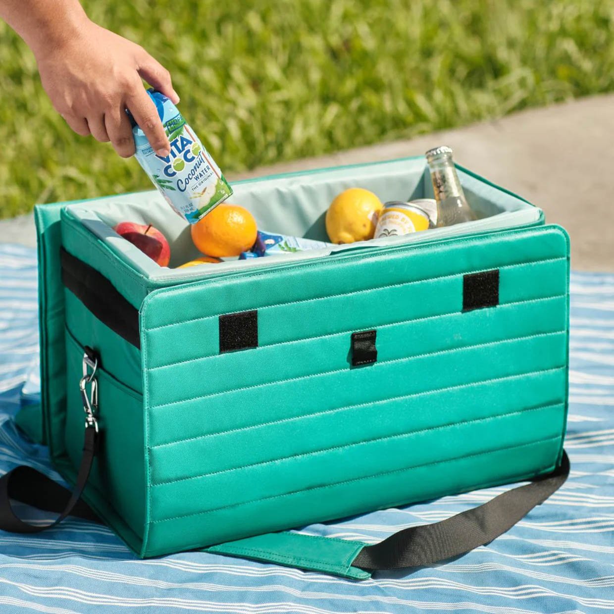 Nutshell Cooler  Sustainable Coolers Made From Coconuts