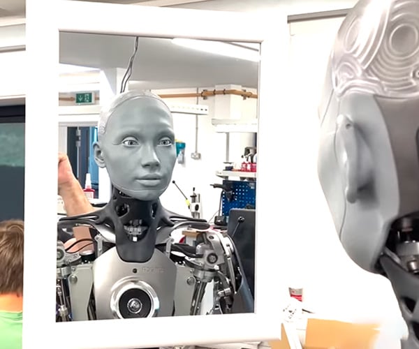 Robot Looks in a Mirror