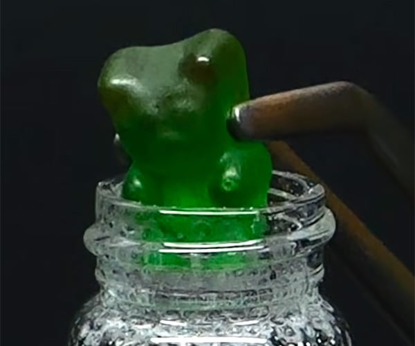 A Gummy Bear Goes to Hell