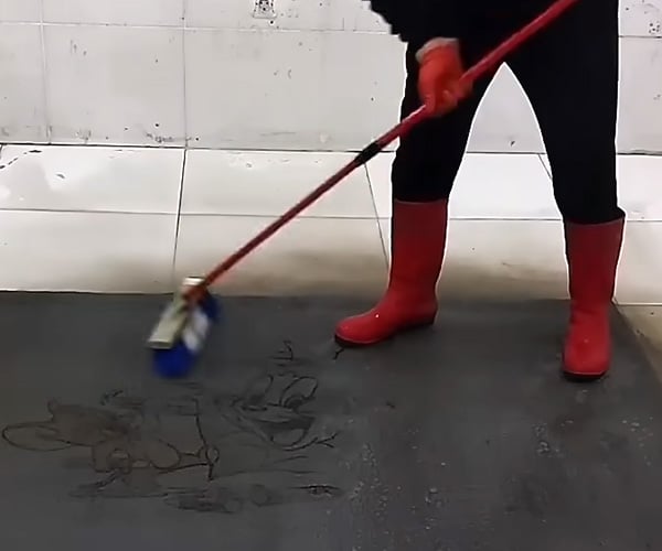 Satisfying Carpet Cleaning