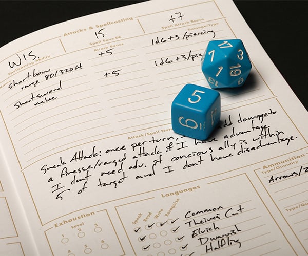 Field Notes 5E Gaming Journals