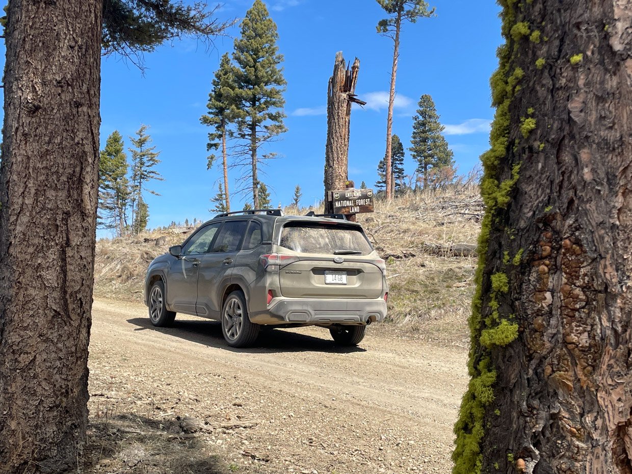 Driven: 2025 Subaru Forester