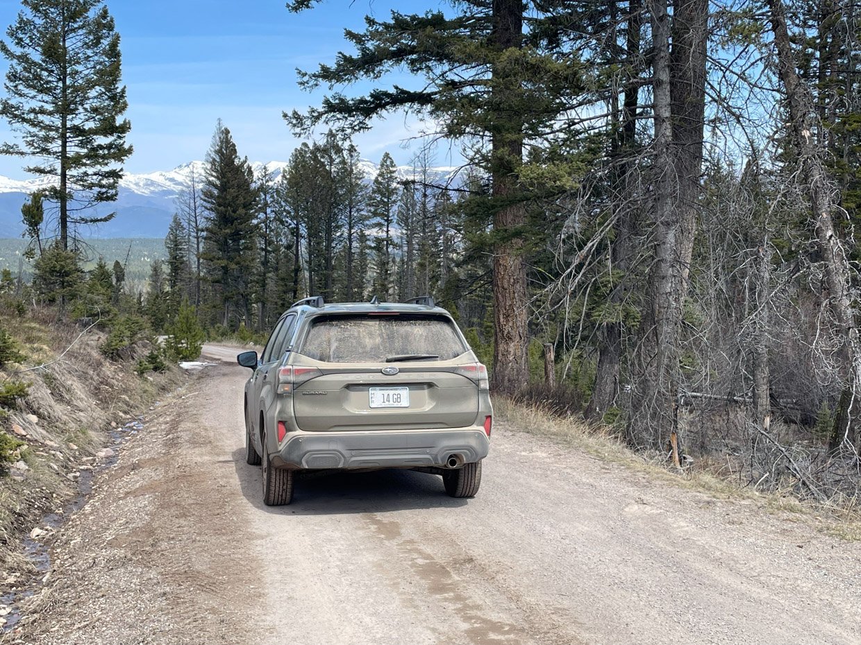 Driven: 2025 Subaru Forester