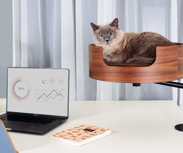 Desk Nest Cat Bed