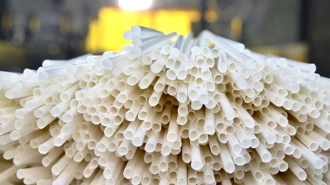 Biodegradable Drinking Straw Factory
