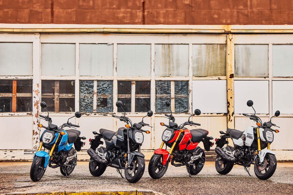 2025 Honda Grom