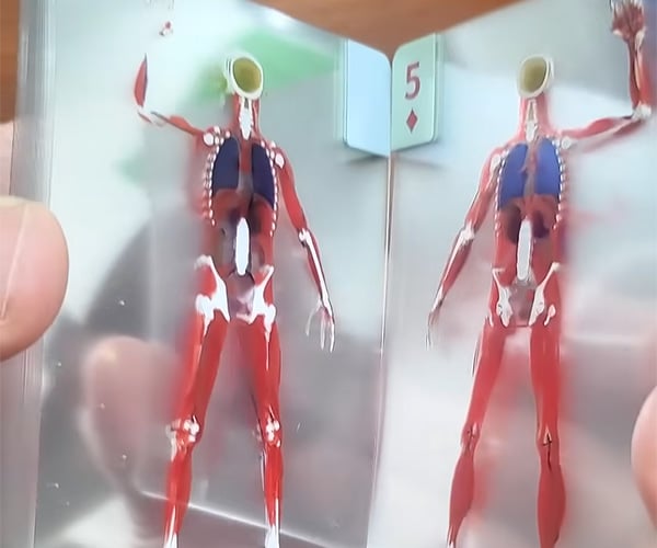 The Body Deck Playing Cards Let You Shuffle a Human Body