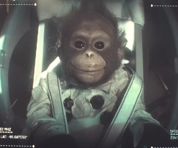 Beppo SNL Sends a Monkey Into Space