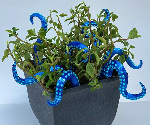 House Plant Tentacles