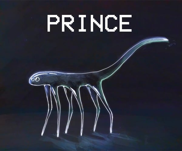 Prince Care Guide