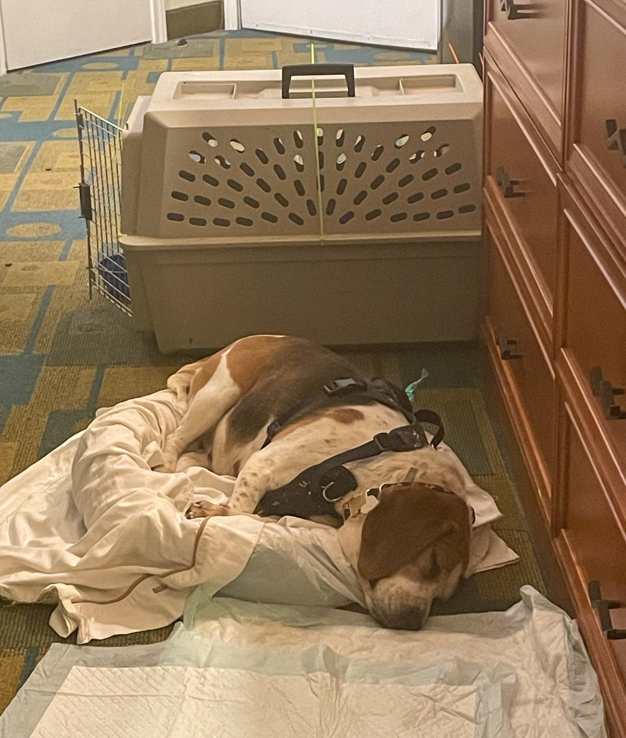 Operation Frodo: A Love Story