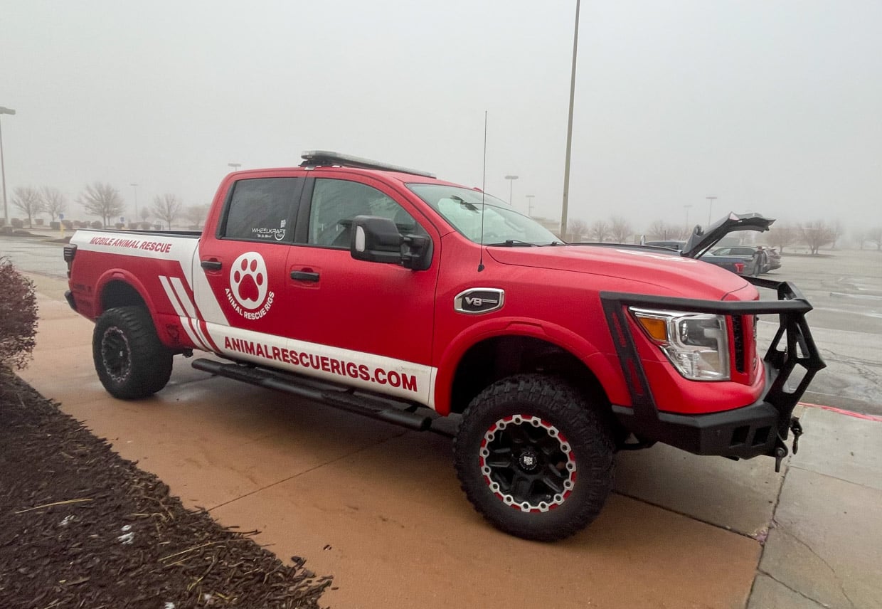 Operation Frodo: A Love Story