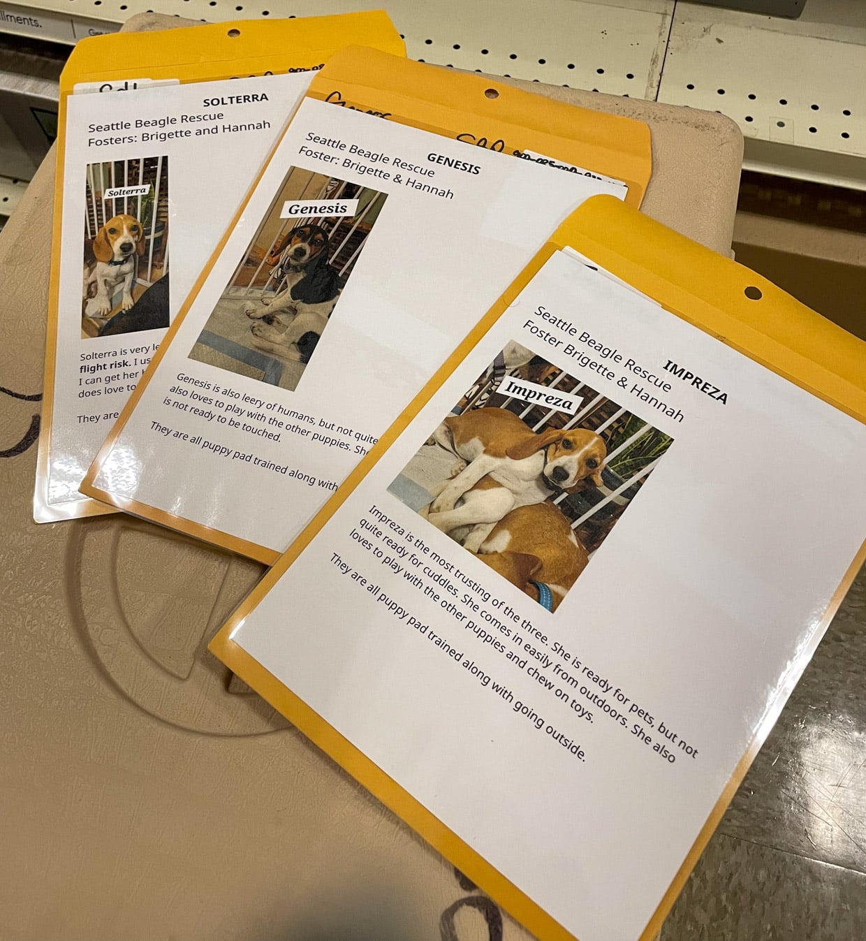 Operation Frodo: A Love Story