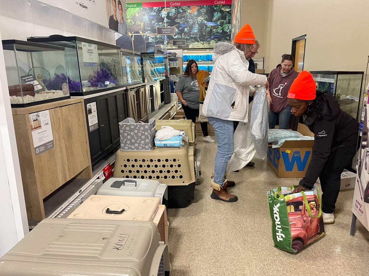 Operation Frodo: A Love Story