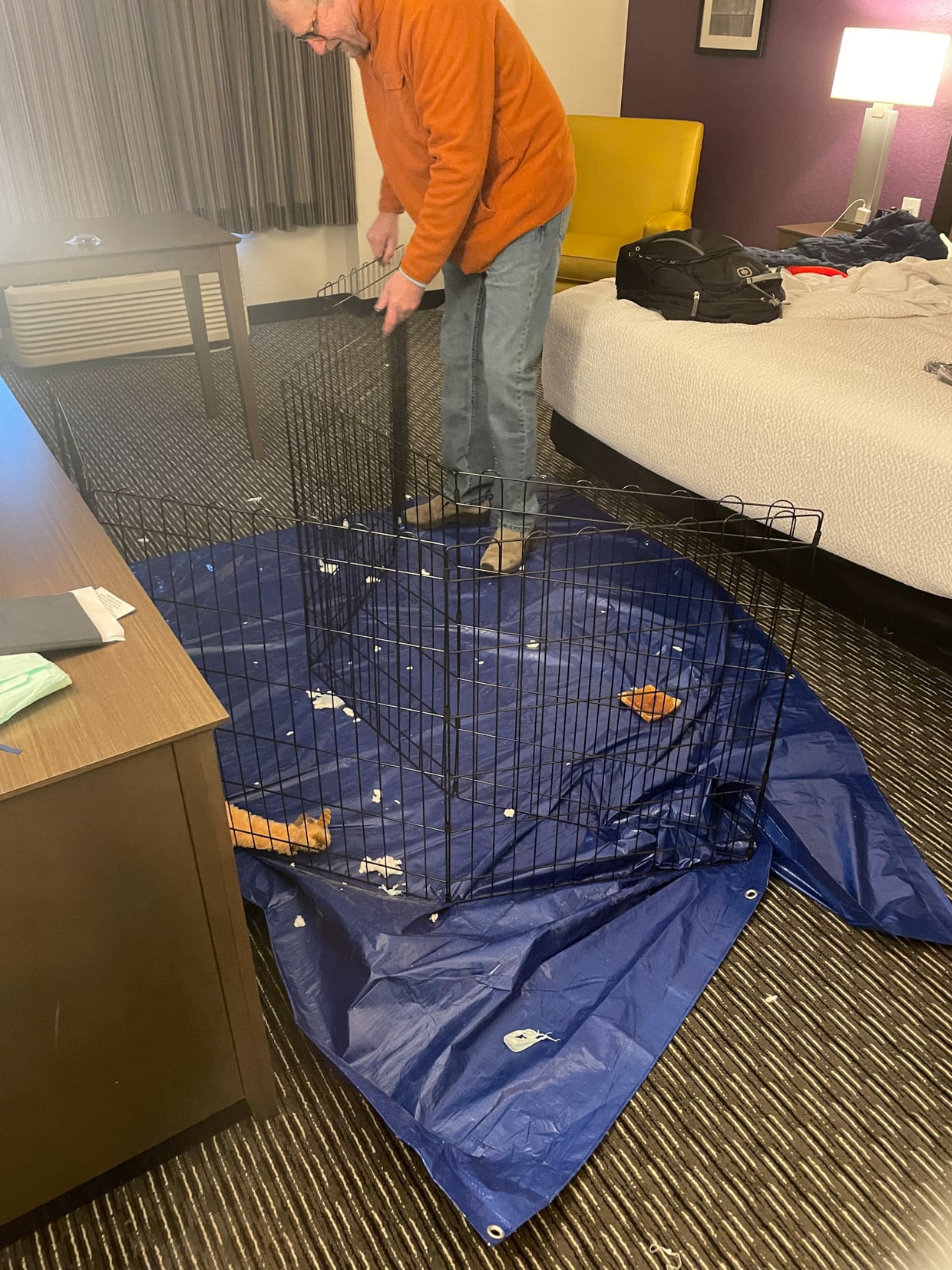 Operation Frodo: A Love Story