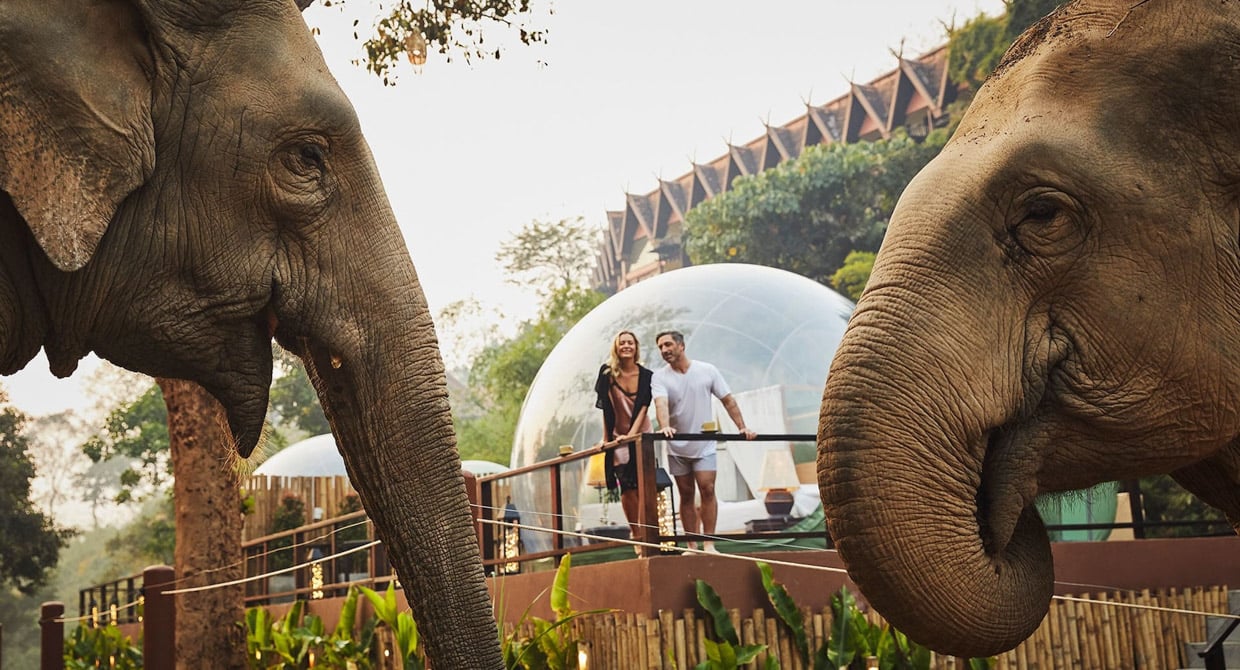 Anantara Golden Triangle Elephant Camp