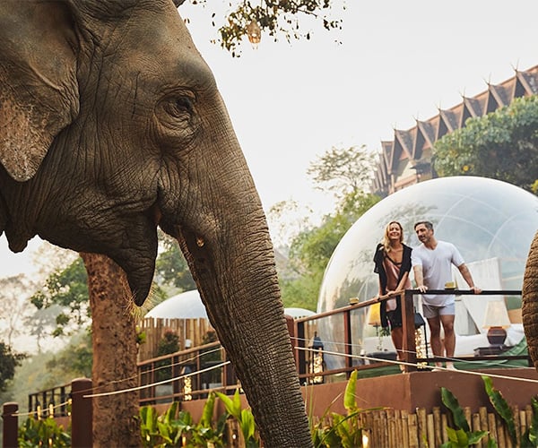 Anantara Golden Triangle Elephant Camp