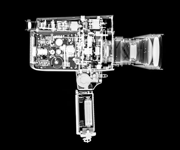 Beyond the Surface: The Art of X-rays