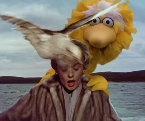 Big Bird in The Birds
