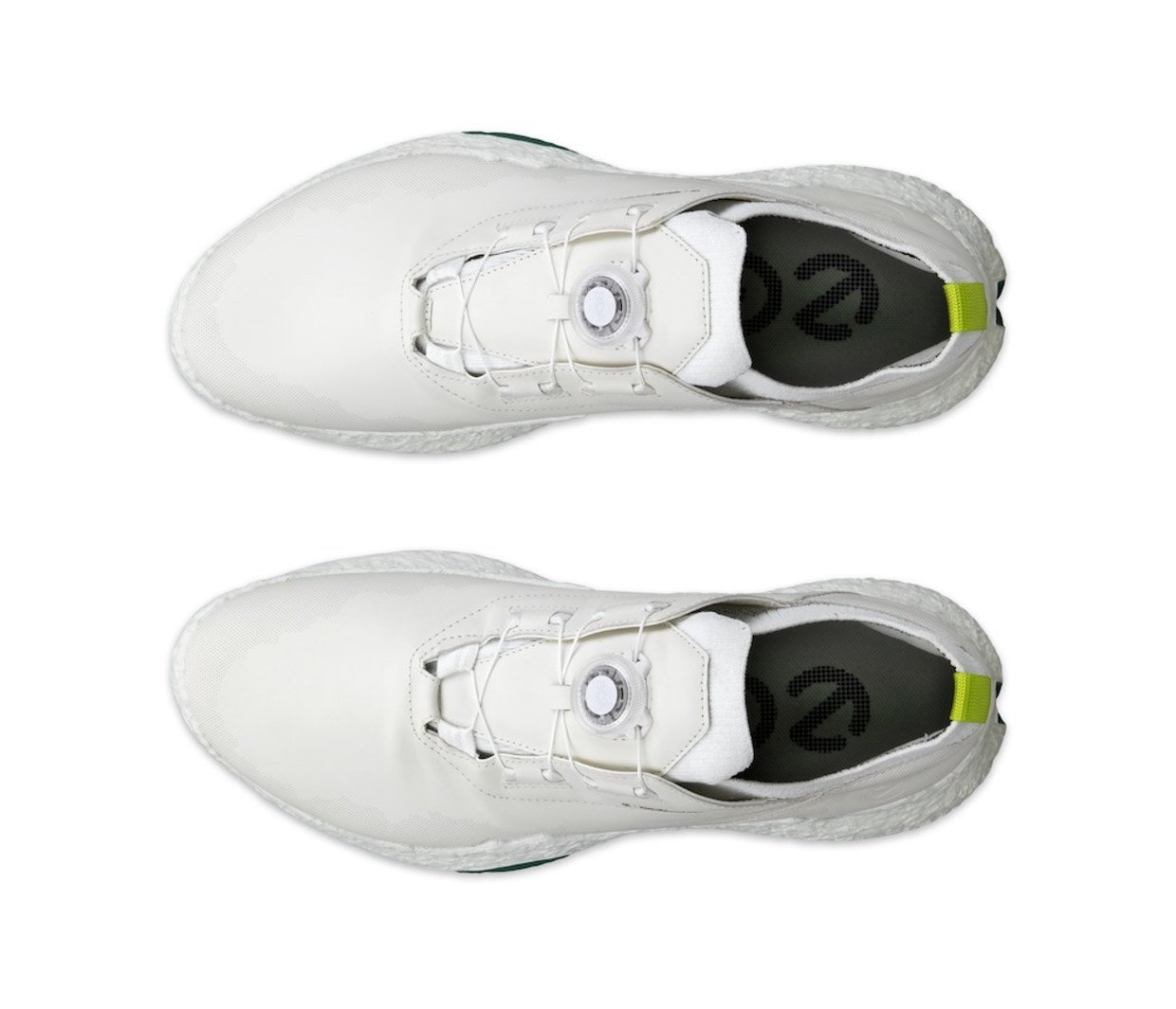 ECCO Golf Biom H5 BOA Golf Shoe