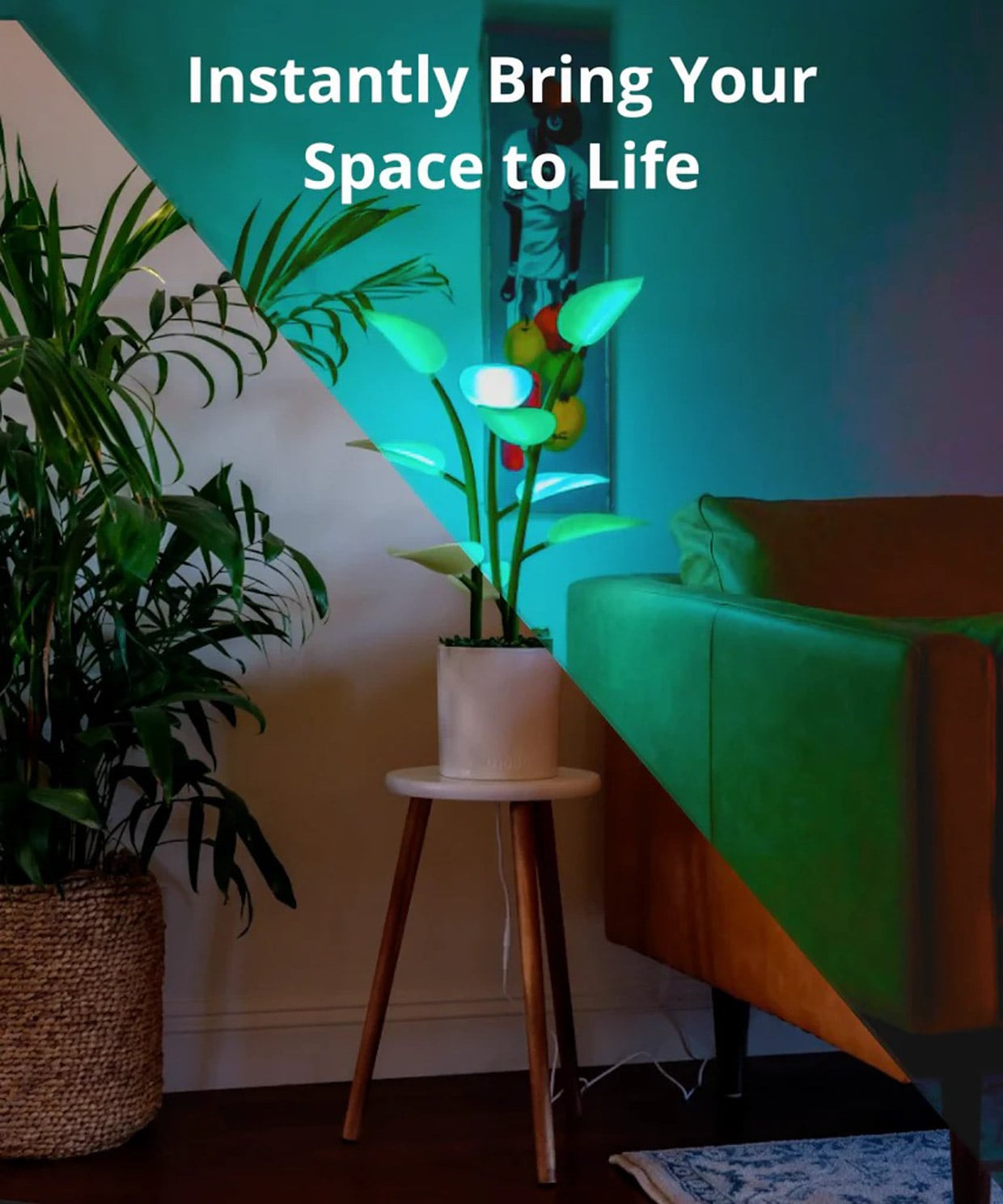 Fluora Mini LED Plant Lamp