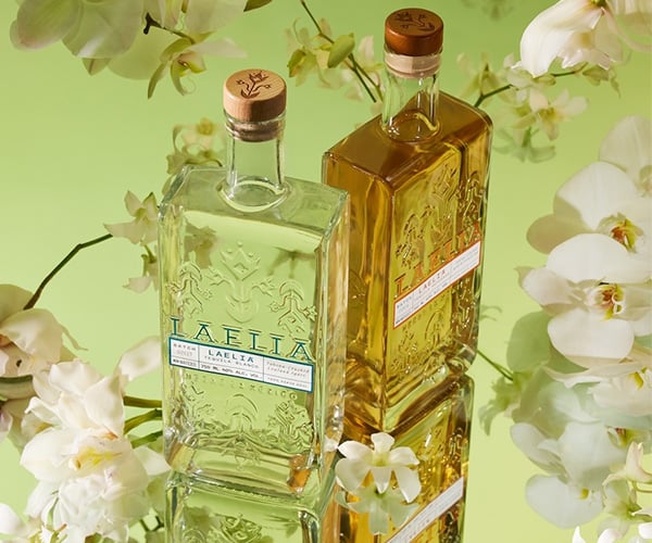 Laelia Tequila