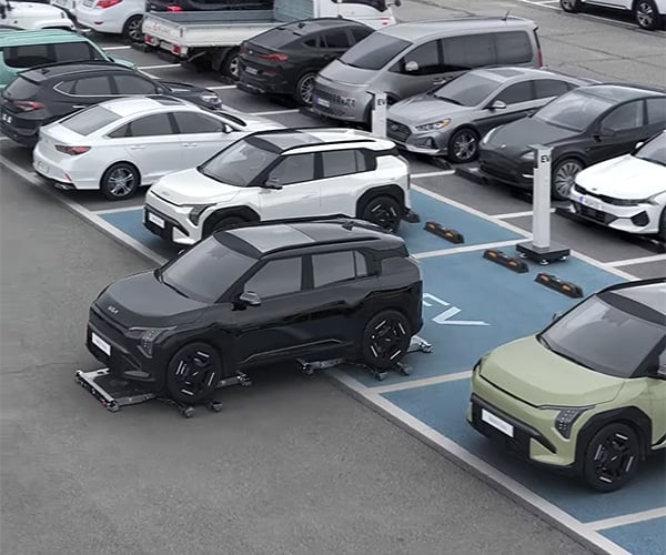 Car Parking Robots