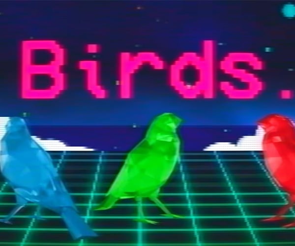 Saving an Image to a Bird