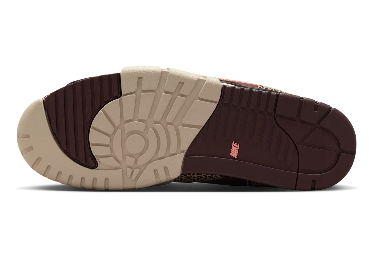 Nike SB Air Trainer 1 x Arts-Rec Earth + Dusty Peach