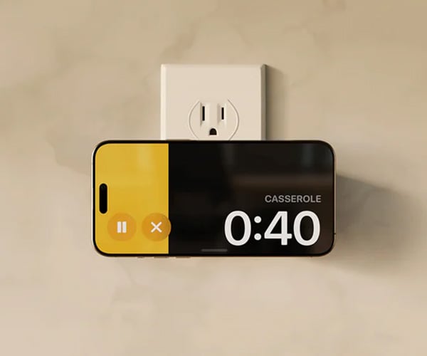 Twelve South PowerBug Wall Charger