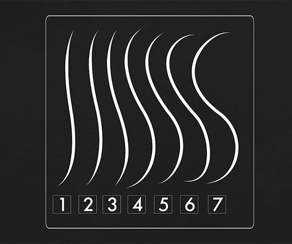 Are There Universal Rules for Beautiful Things?